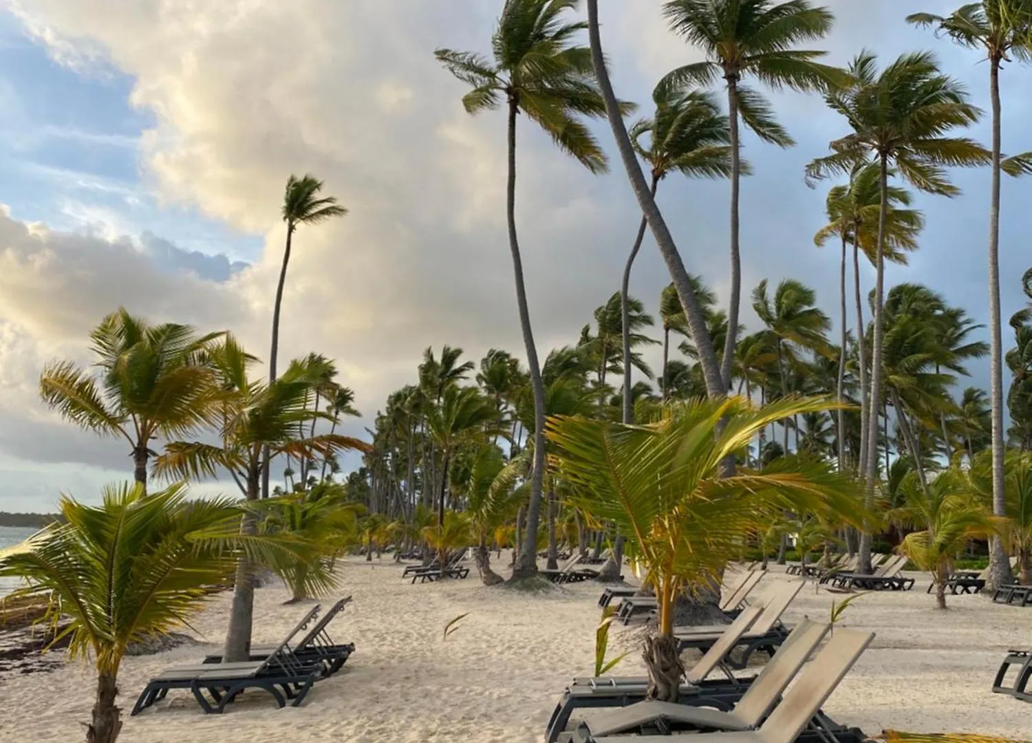 The Perfect Place For Holiday In Los Corales Rd Punta Cana Apartment