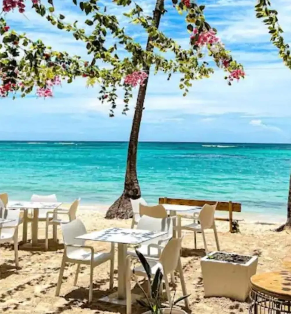 Apartment The Perfect Place For Holiday In Los Corales Rd Punta Cana Dominican Republic
